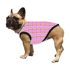 green circle around image of dog with pink Tank top on tan colored dog with black ears and snout