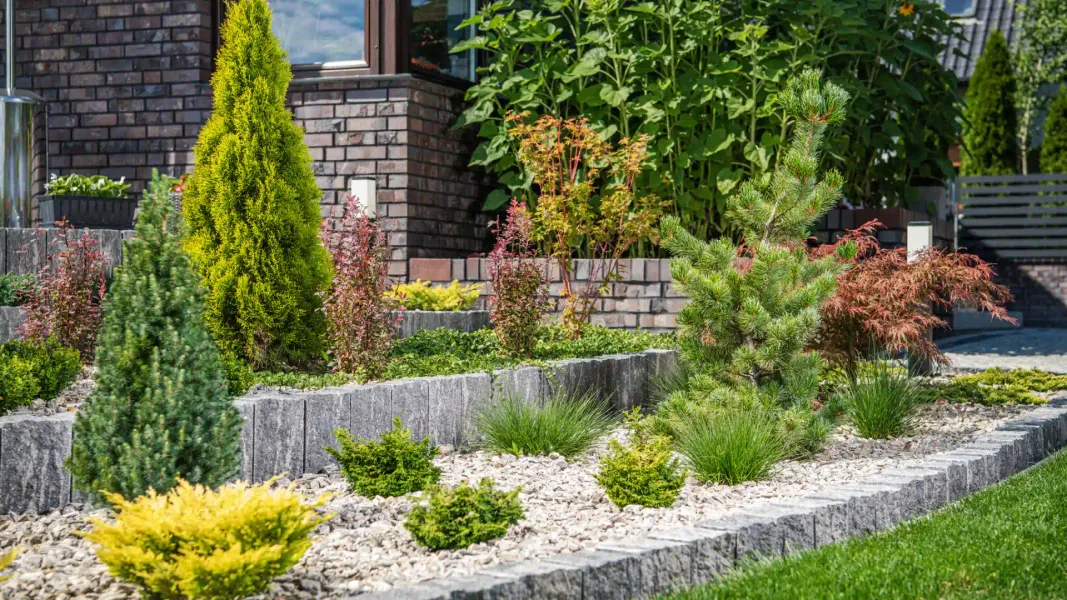 A garden with lots of plants and rocks in front of a brick house.