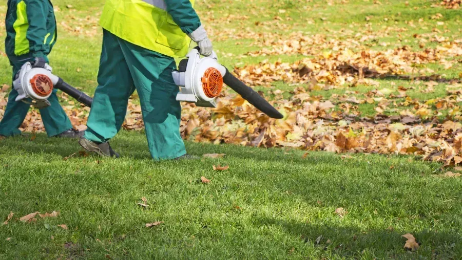 A man is blowing leaves in a park with a leaf blower.