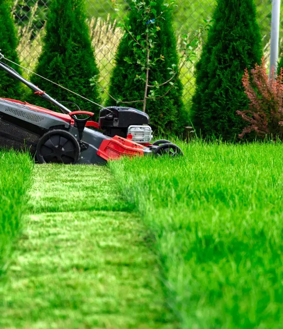 A red and black lawn mower is cutting a lush green lawn.