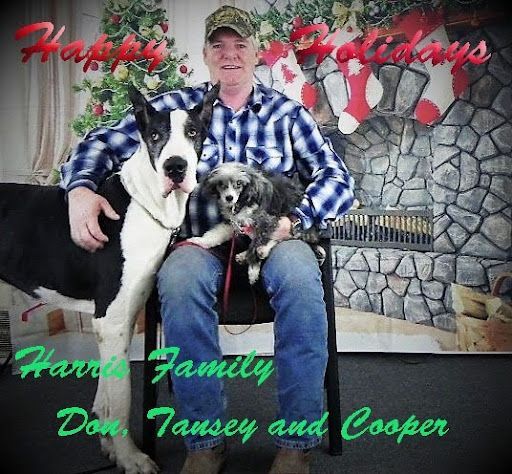 Man seated with two dogs in front of a stone fireplace, with “Happy Holidays” and “Harris Family” text.