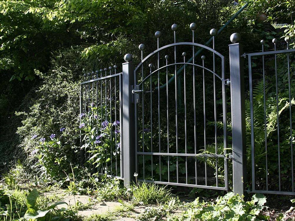 A wrought iron gate is surrounded by a lush green forest.