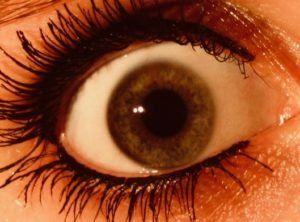 Added Value Communication - akut support