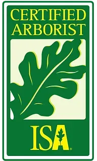 Certified Abortist — Portland, OR — Sequoia Tree Service