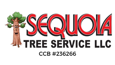 Sequoia Tree Service