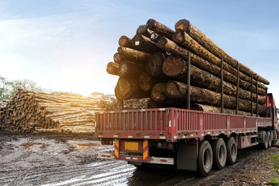 Transporting Wood Logs — Finger, TN — Triple S Enterprise