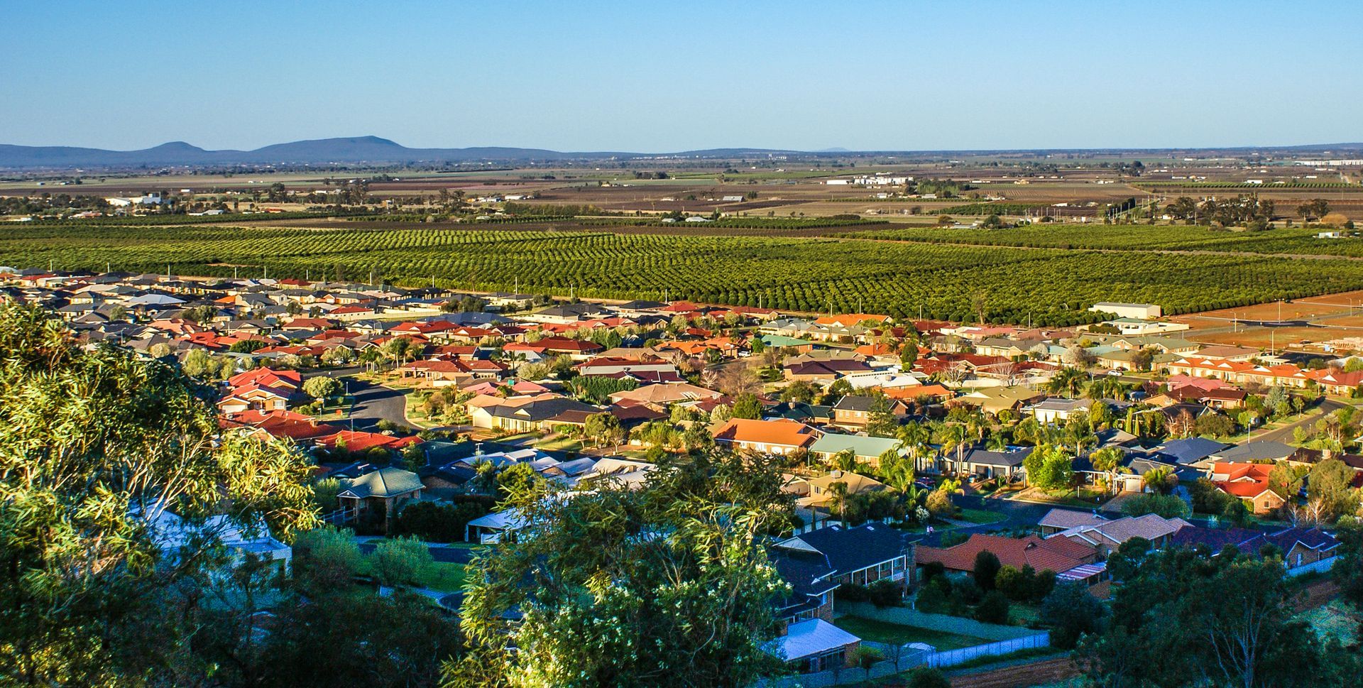 Girl Happy Smiling — Leeton, NSW — Leeton Orthodontics