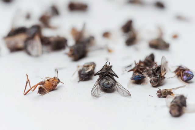 NCS Débouchage/Excavation - Nettoyage De Conduits Souterrains inc. photo 3