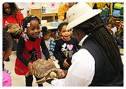 Children in a classroom interact with a large tortoise. A person in a hat assists.