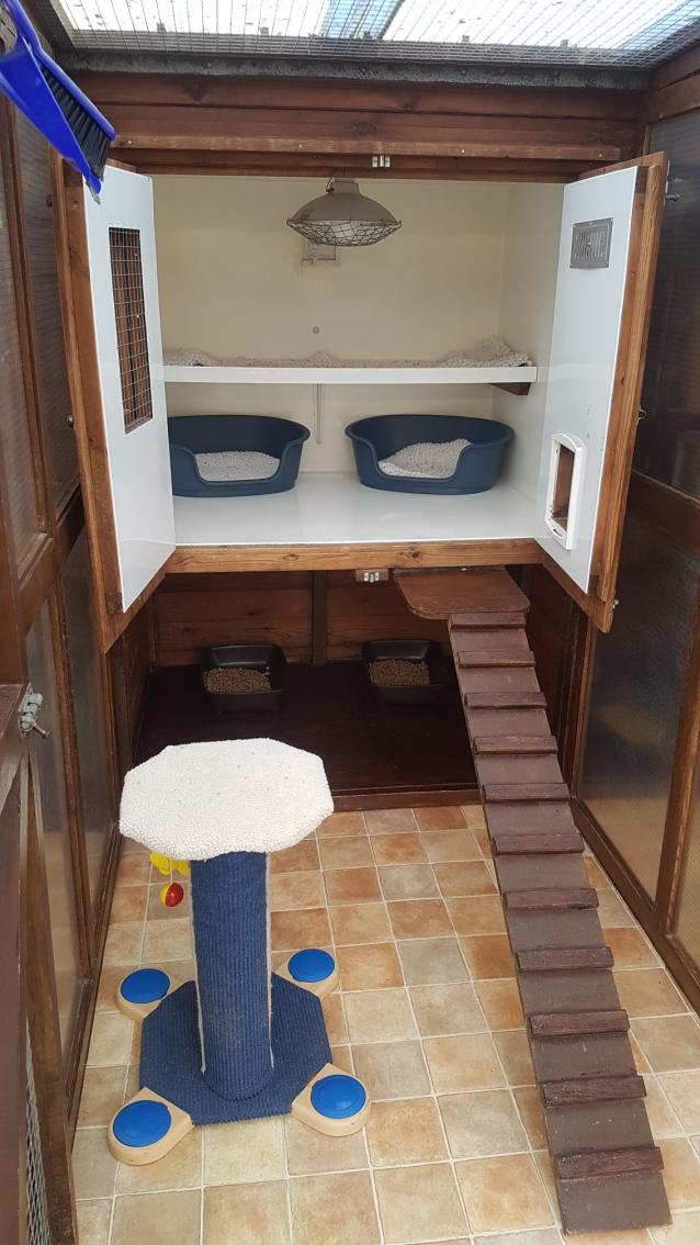 cat-accommodation-the-cats-whiskers-country-cattery