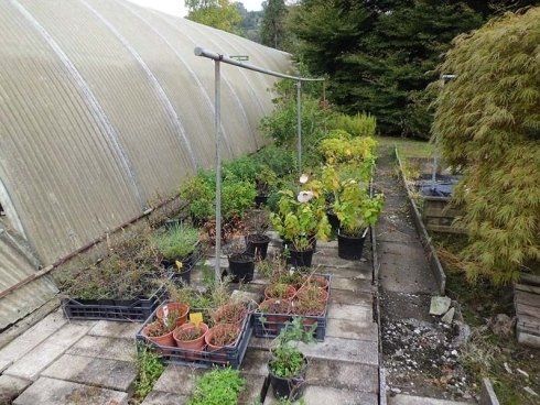 azienda florovivaistica