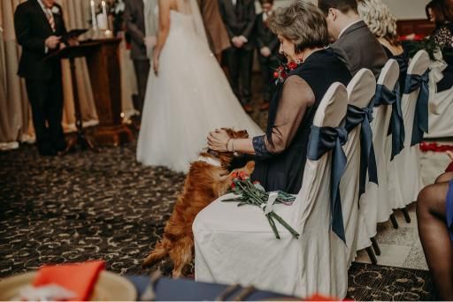 A dog jumps up to greet a woman seated during a wedding ceremony.