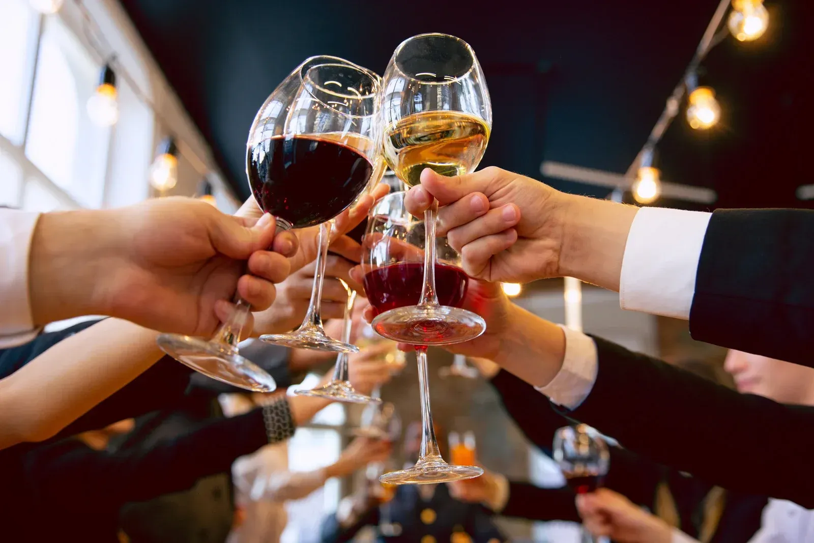 Hands toasting with wine glasses, featuring red, white, and rosé wine, in a celebratory setting.