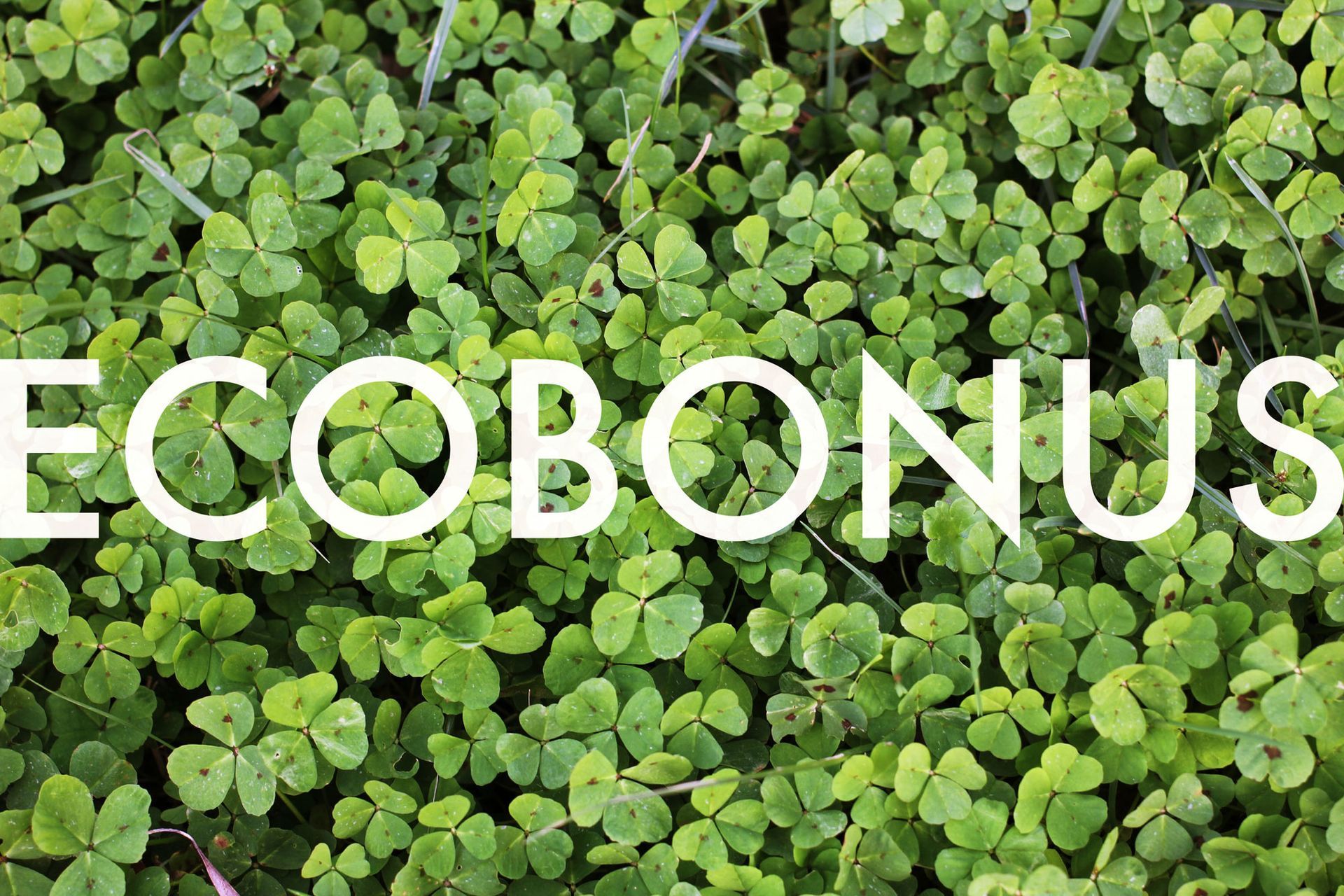 ecobonus