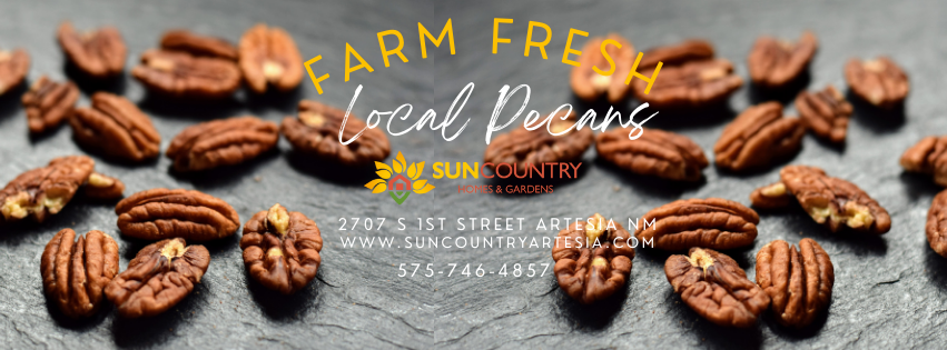 Farm Fresh Local Pecans Logo for Sun Country Homes and Gardens with address 2707 S. 1st St. Artesia, NM 88210