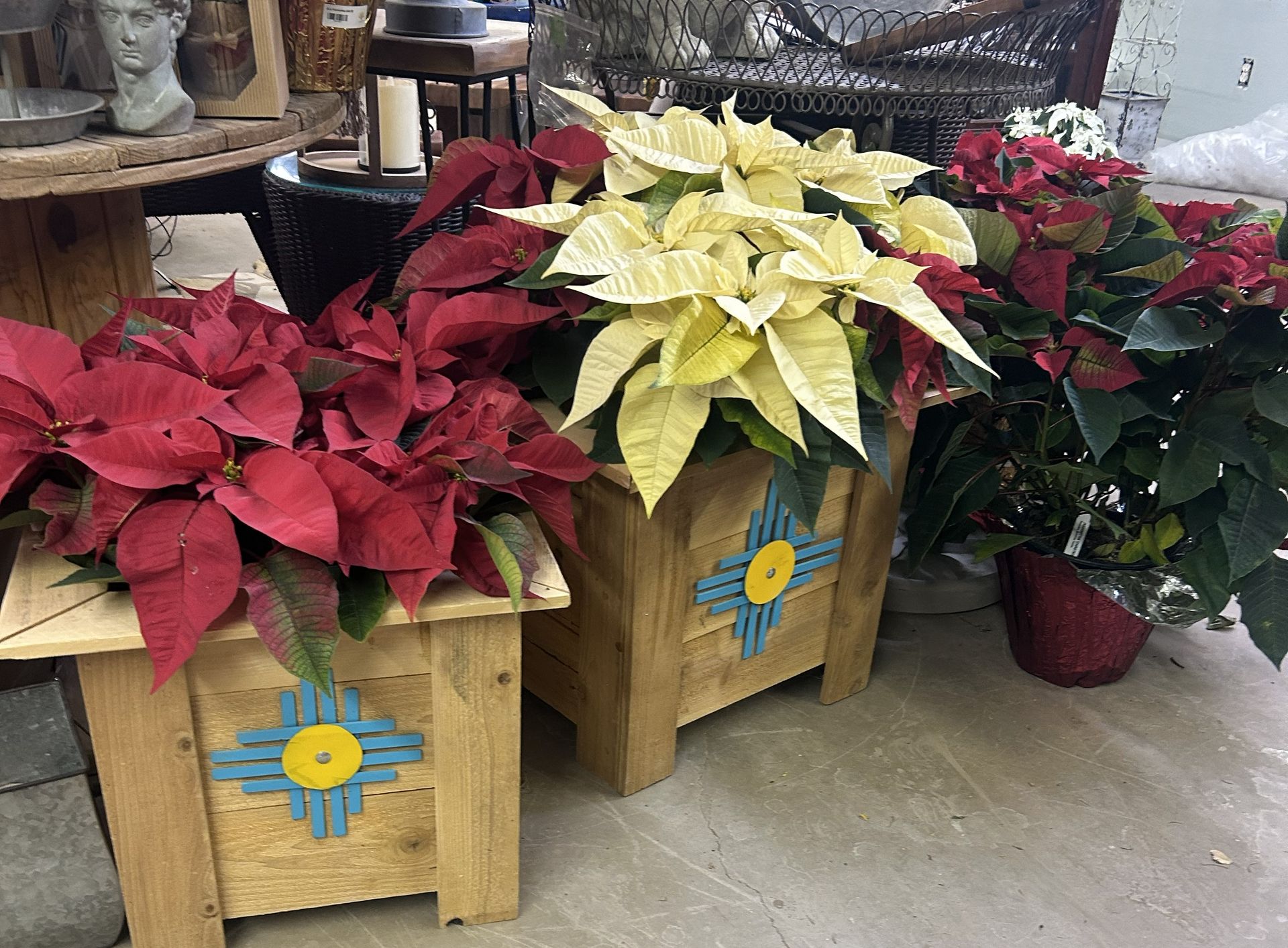 Red and white poinsettias in wooden planter boxes with metal blue and yellow zia symbols on front.