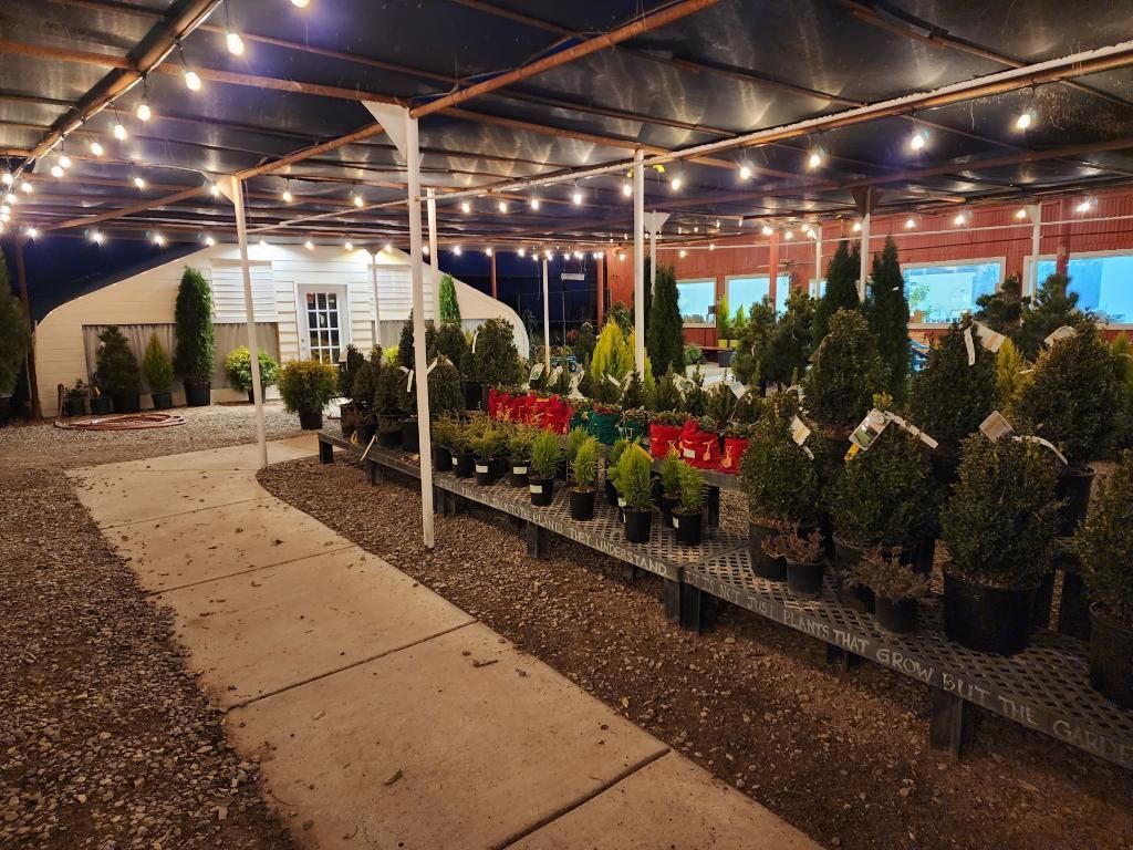 Nursery Plants & Trees