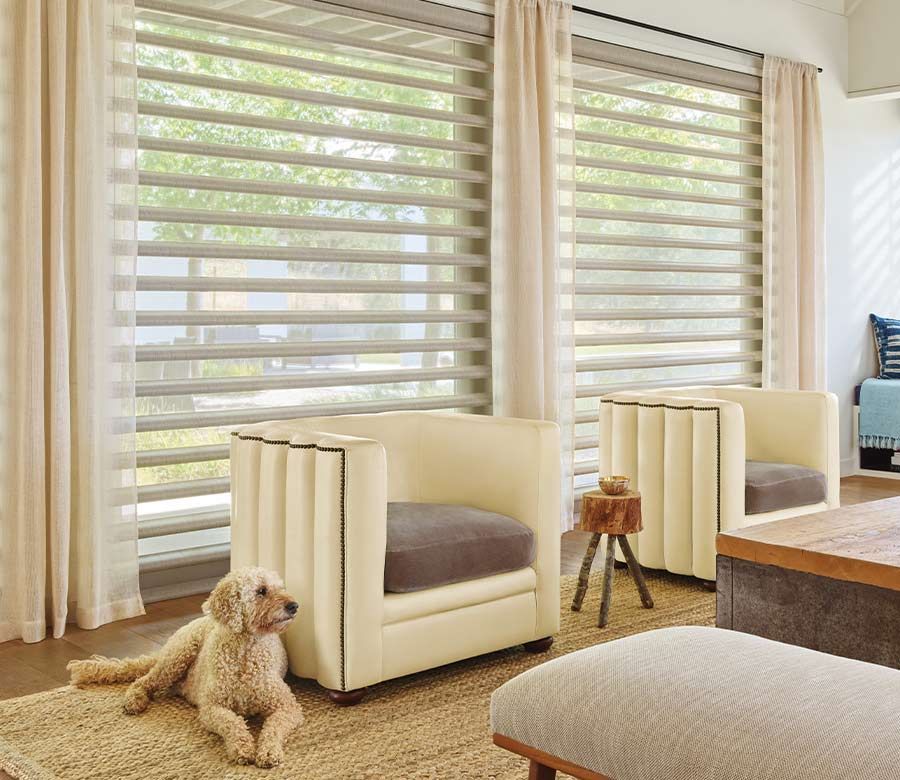 pirouette shades are sheer shades that can close with solid vanes for privacy and light control