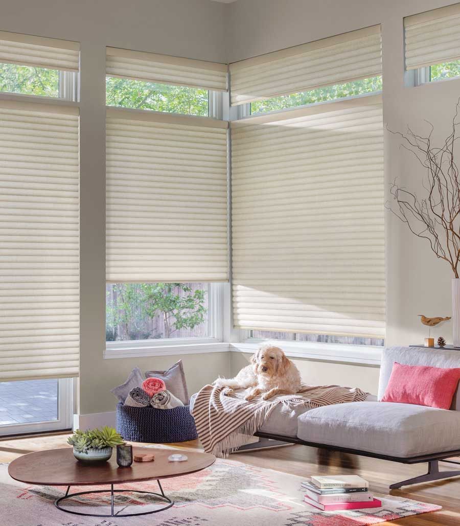 Cellular roller shades in living room