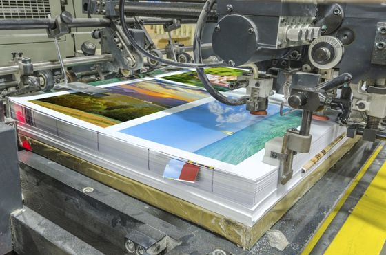 Poster Printer—Ultimate Screen Graphics in Troy, NY