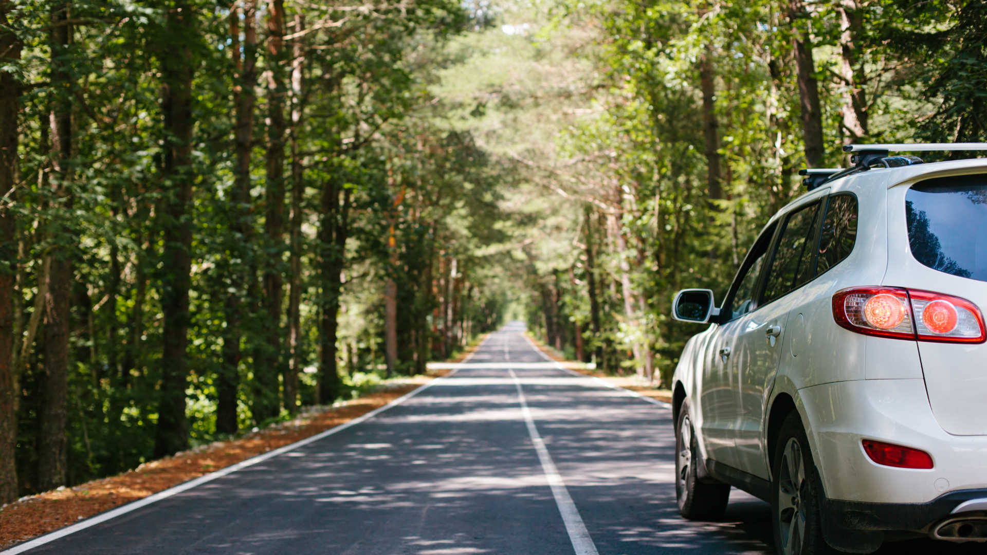 A white suv is parked on the side of a forest road.