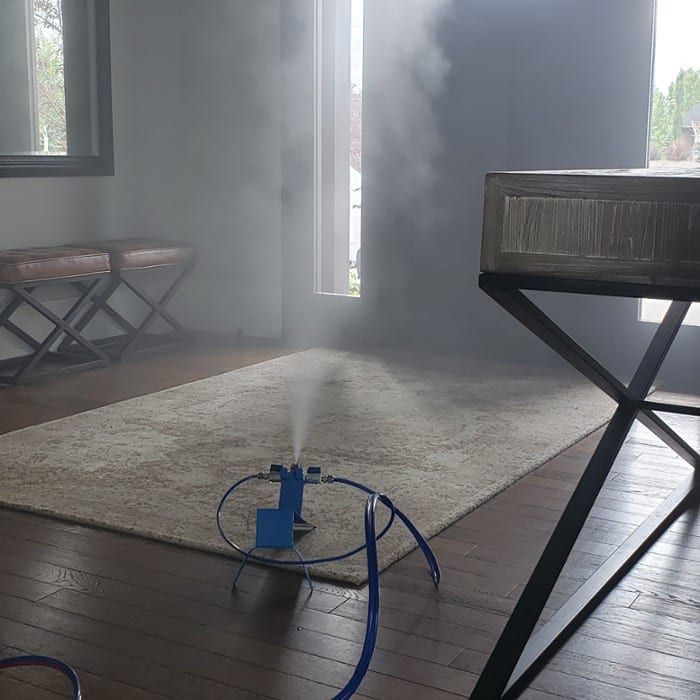 Why Dry Fog Mold Remediation is Safe & Effective