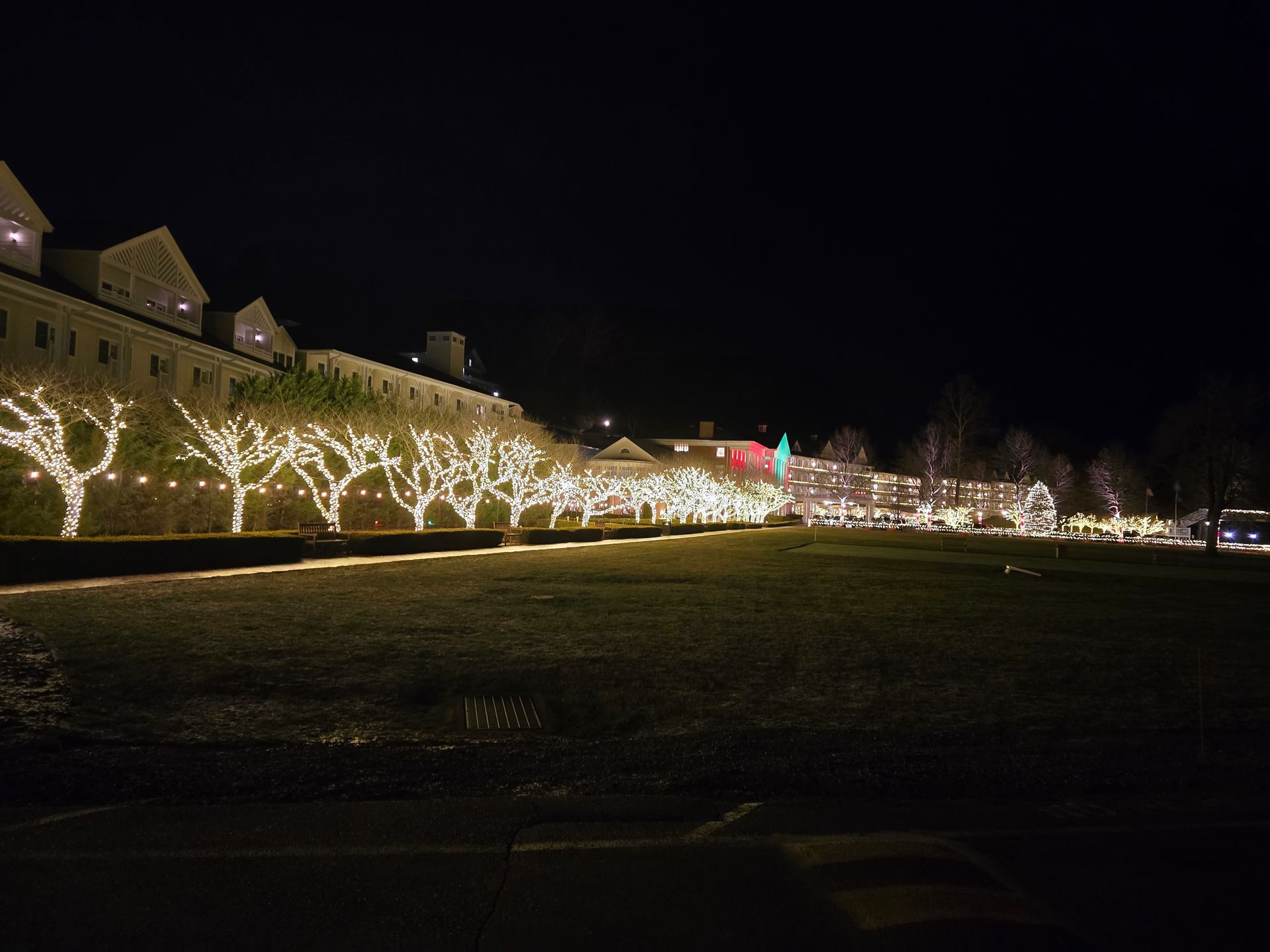 A long line of trees decorated with glowing white string lights lines a building exterior at night.