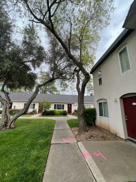 Courtyard with walkway, trees, buildings. Pink markings on walkway, green grass, overcast sky.
