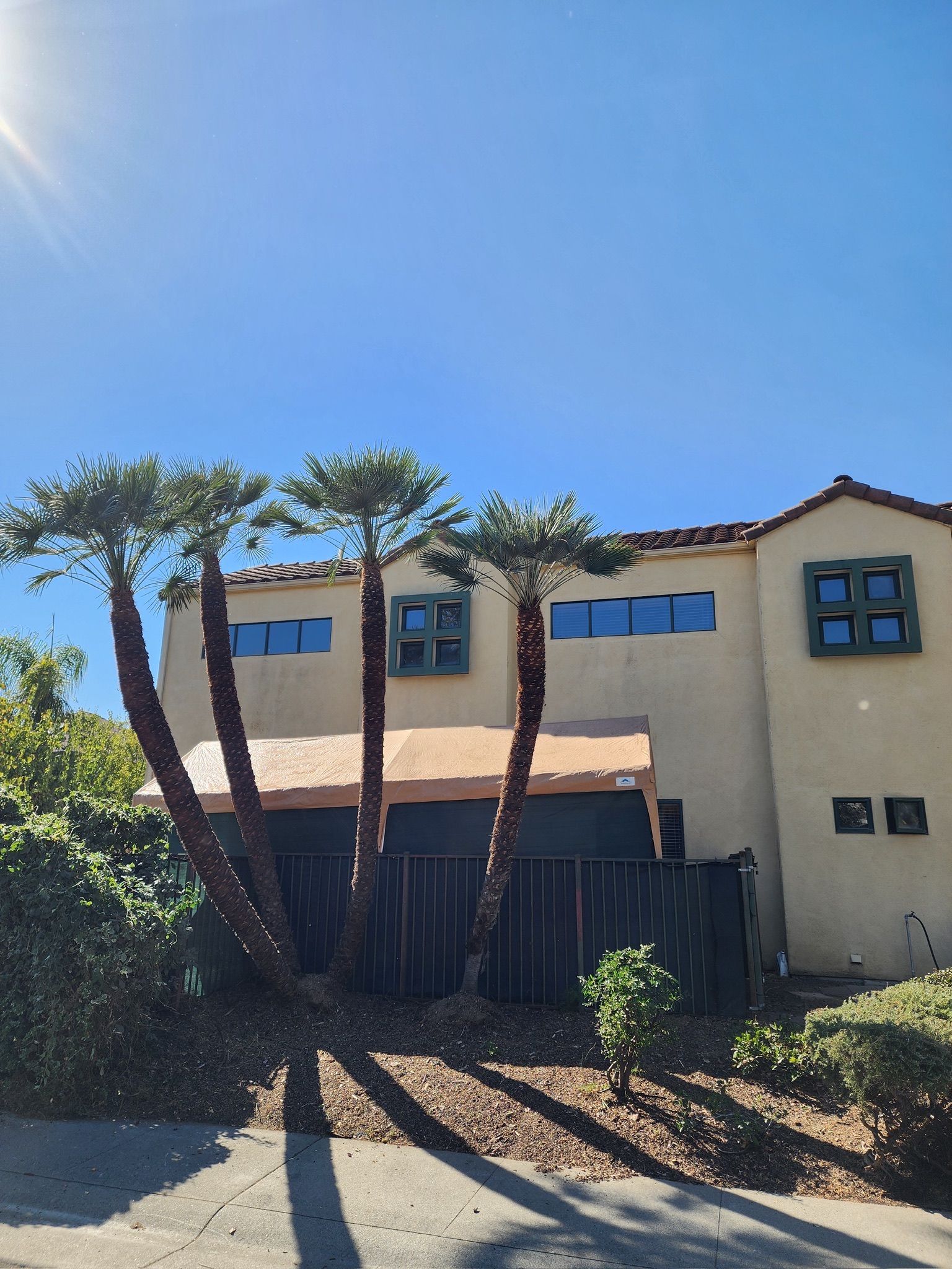Tan building with palm trees against a blue sky. A dark fence is in front of the building.