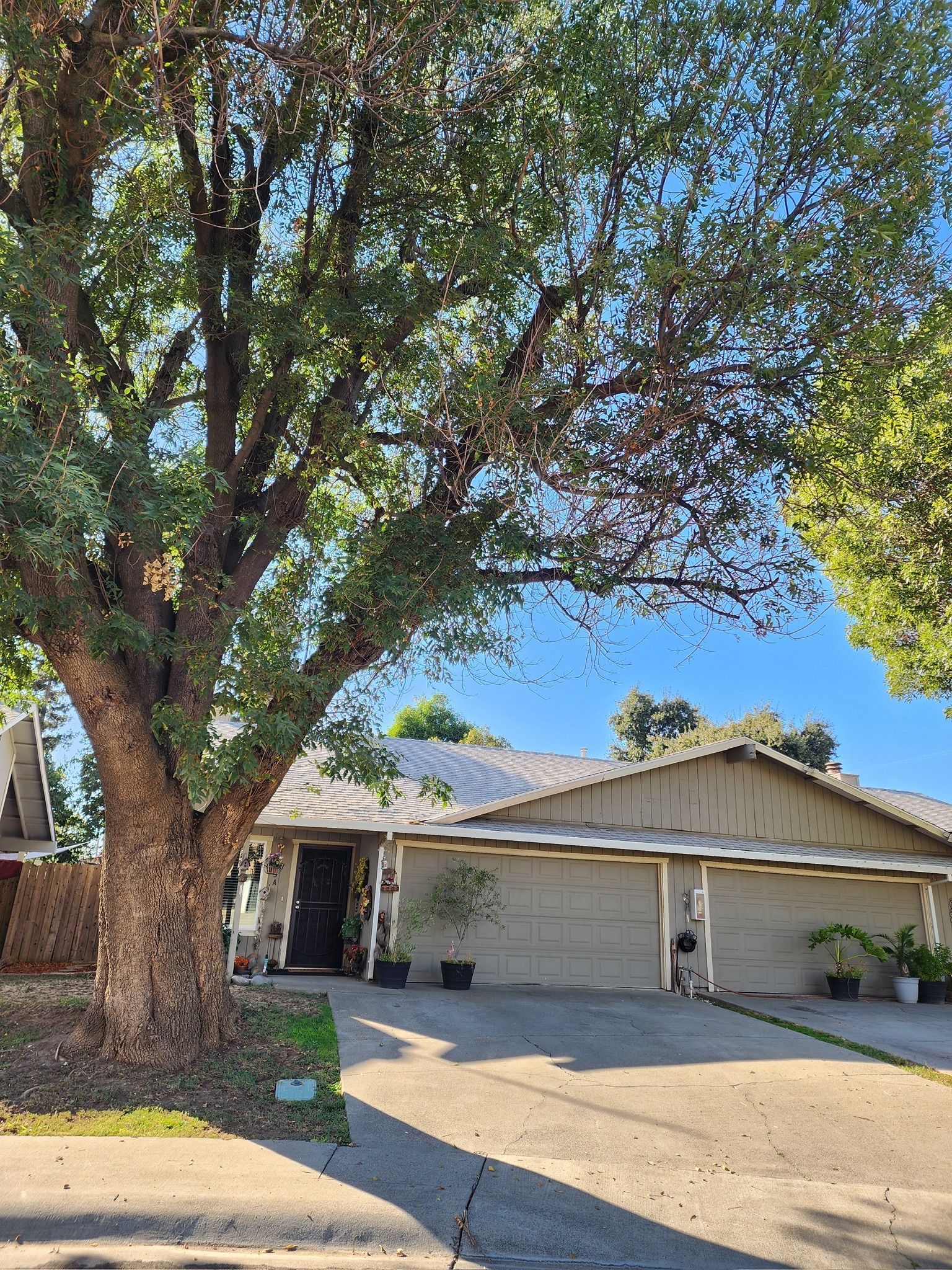 House with two garage doors and a large tree in front.
