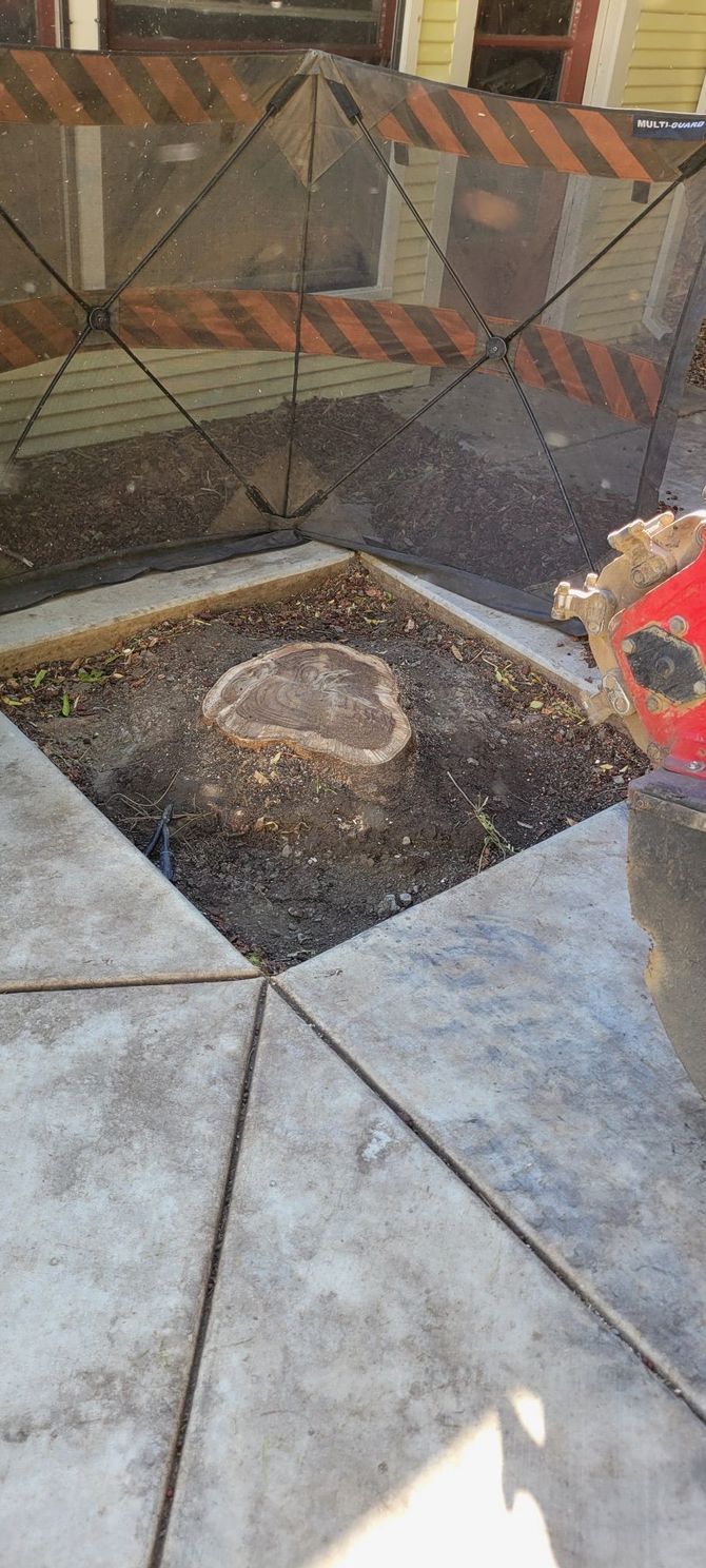 A tree stump in a square garden bed, surrounded by patterned concrete tiles.