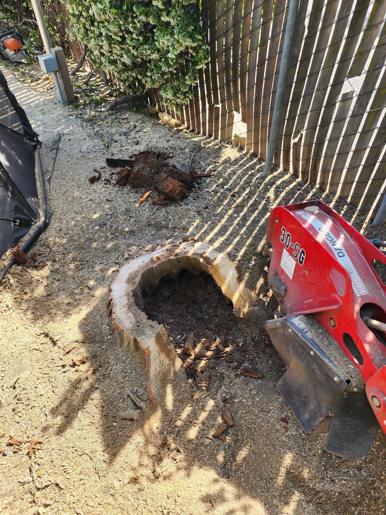 Stump grinder beside a tree stump. Mulch and wood chips on the ground near a wooden fence.