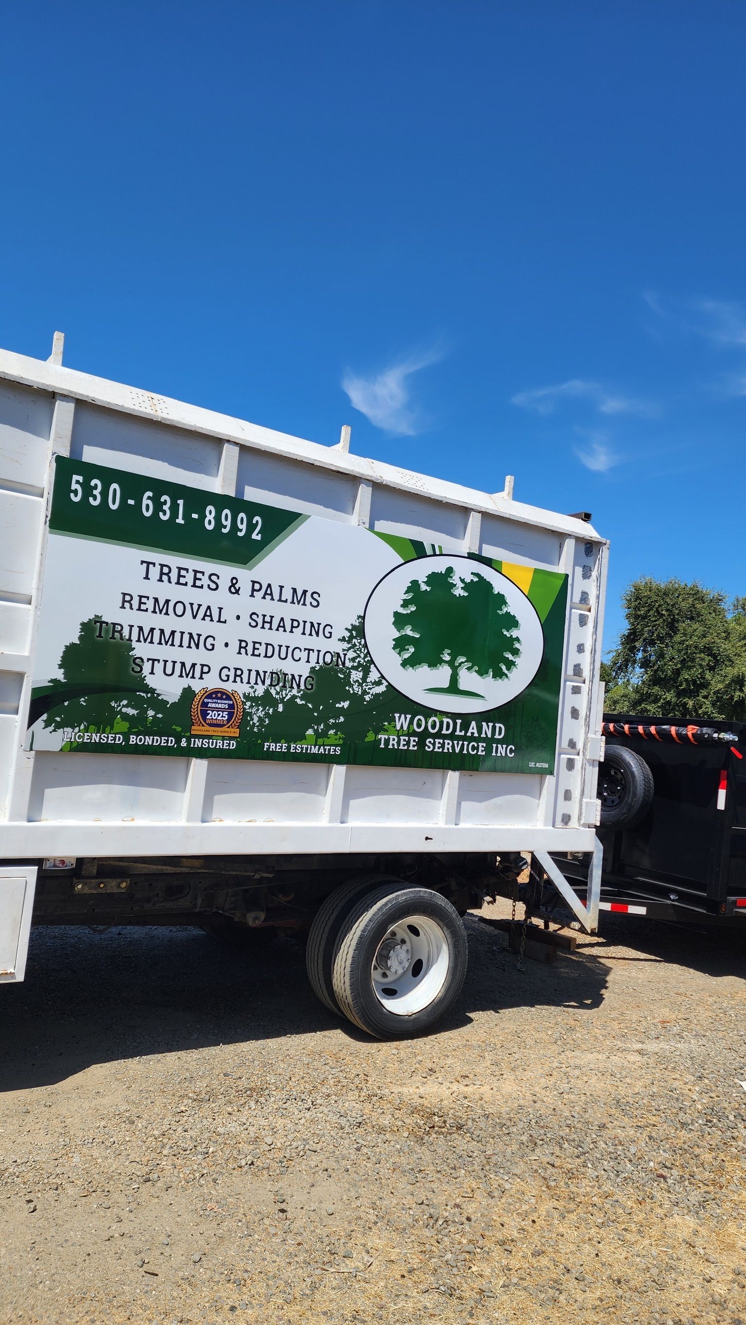 White truck with tree service logo, phone number, and trailer in a sunny outdoor setting.