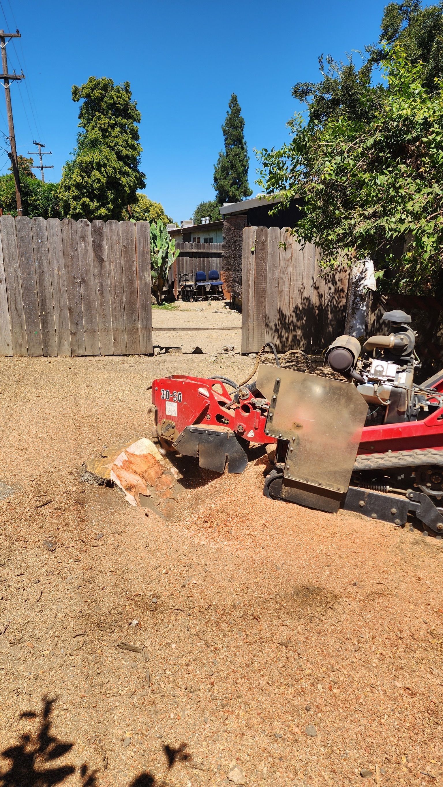 Tree stump grinder on wood chips, next to a wooden fence. Sunny day.