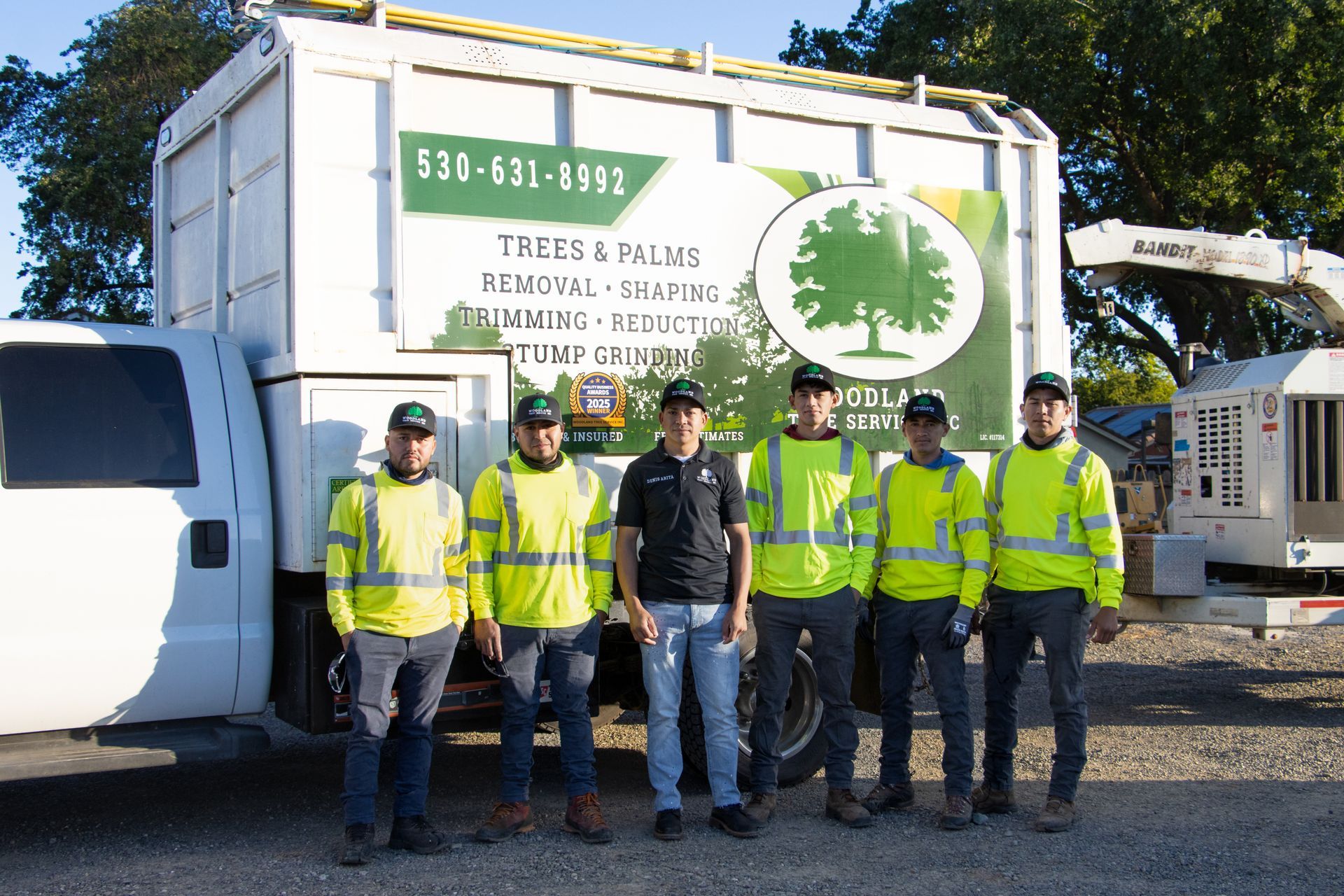 woodland and davis tree professionals 