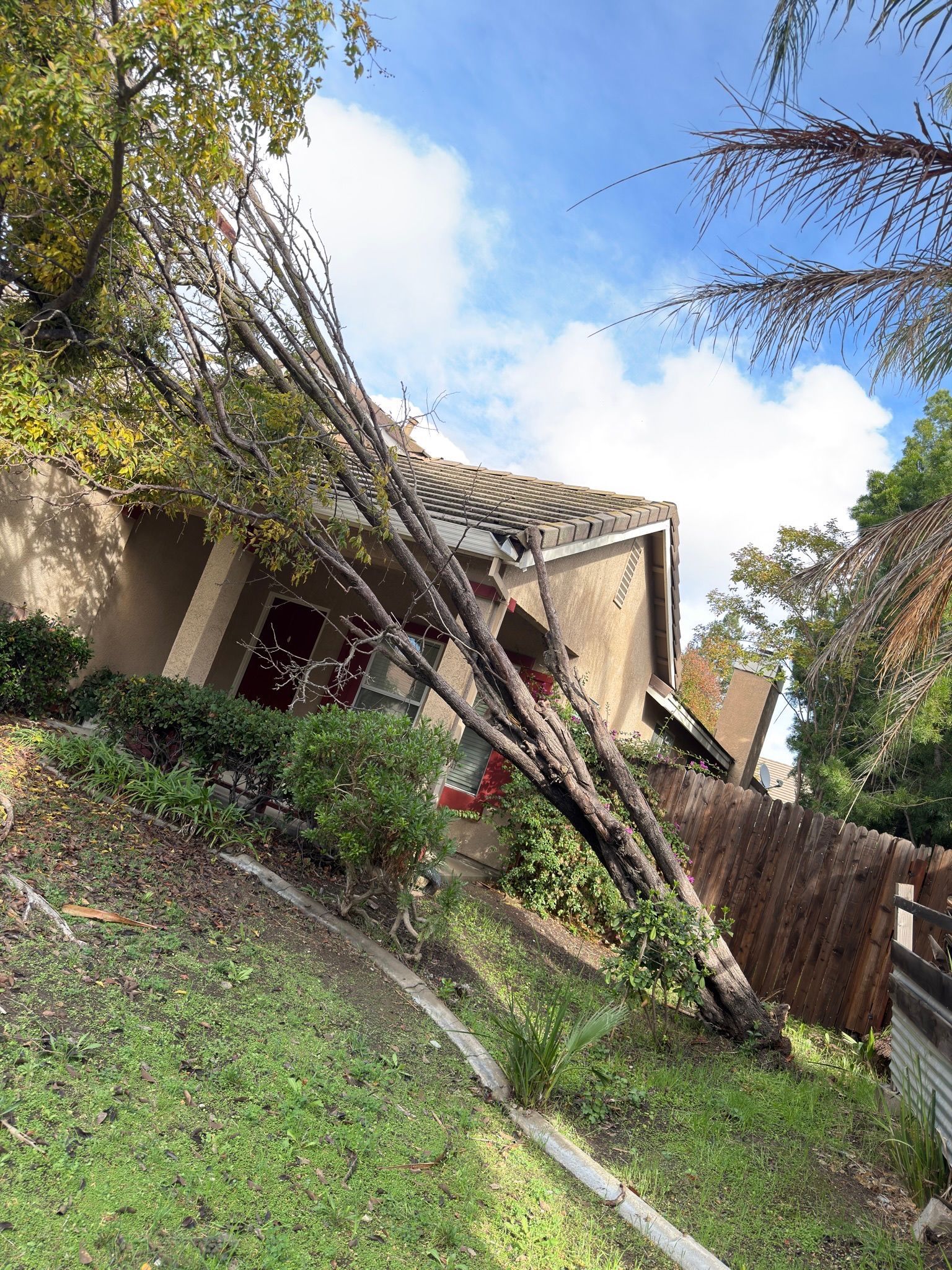 A tree fallen against a house, damaging the roof. Brown house, blue sky, green grass.