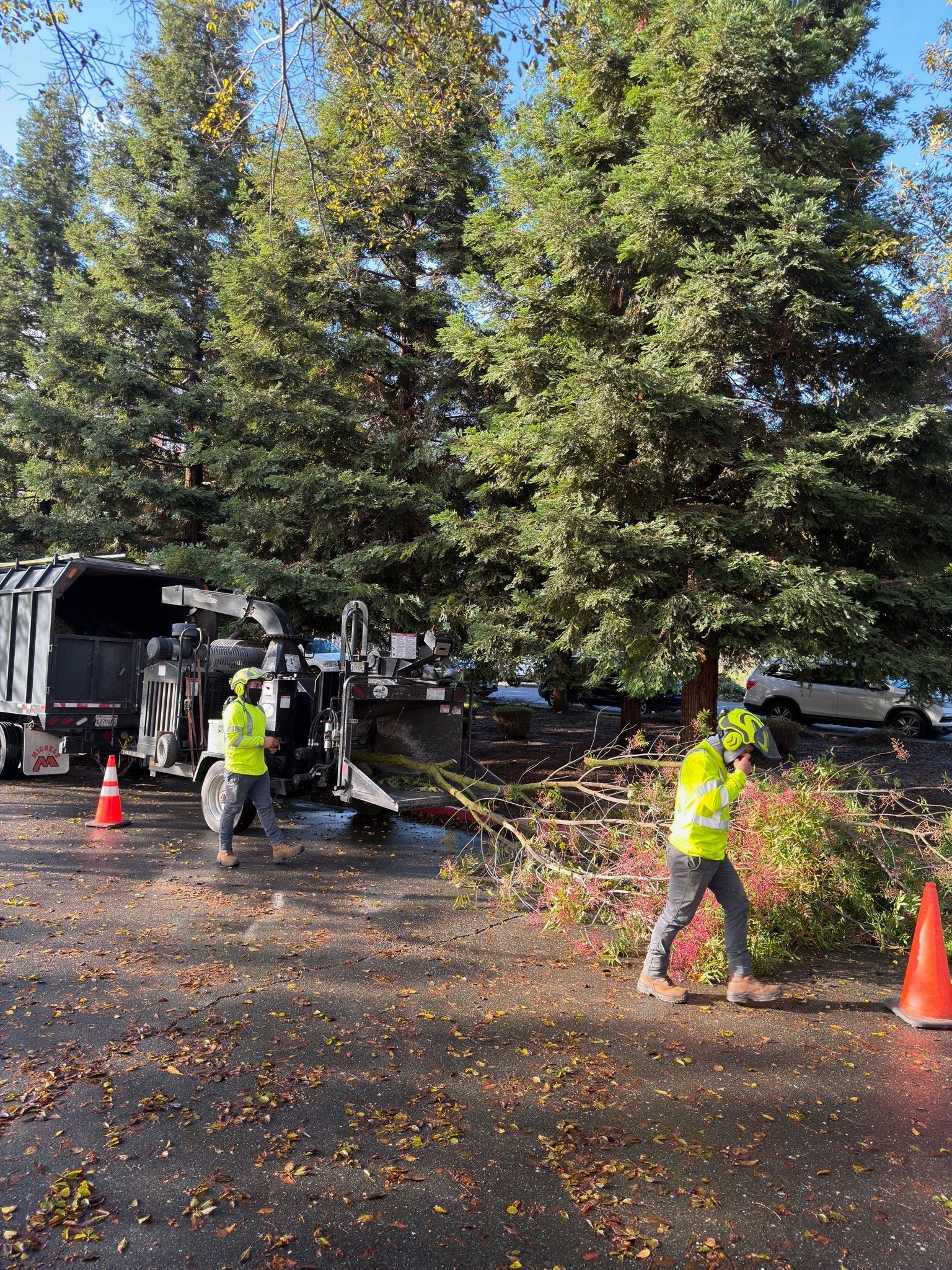 Two workers in safety vests and hardhats clear tree debris near a wood chipper and a parked truck.