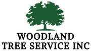 Logo for Woodland Tree Service Inc.: Green tree icon over black text on a white background.