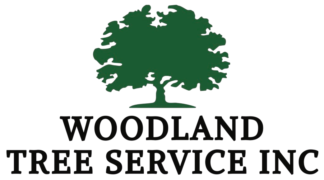 Logo for Woodland Tree Service Inc.: Green tree icon over black text on a white background.