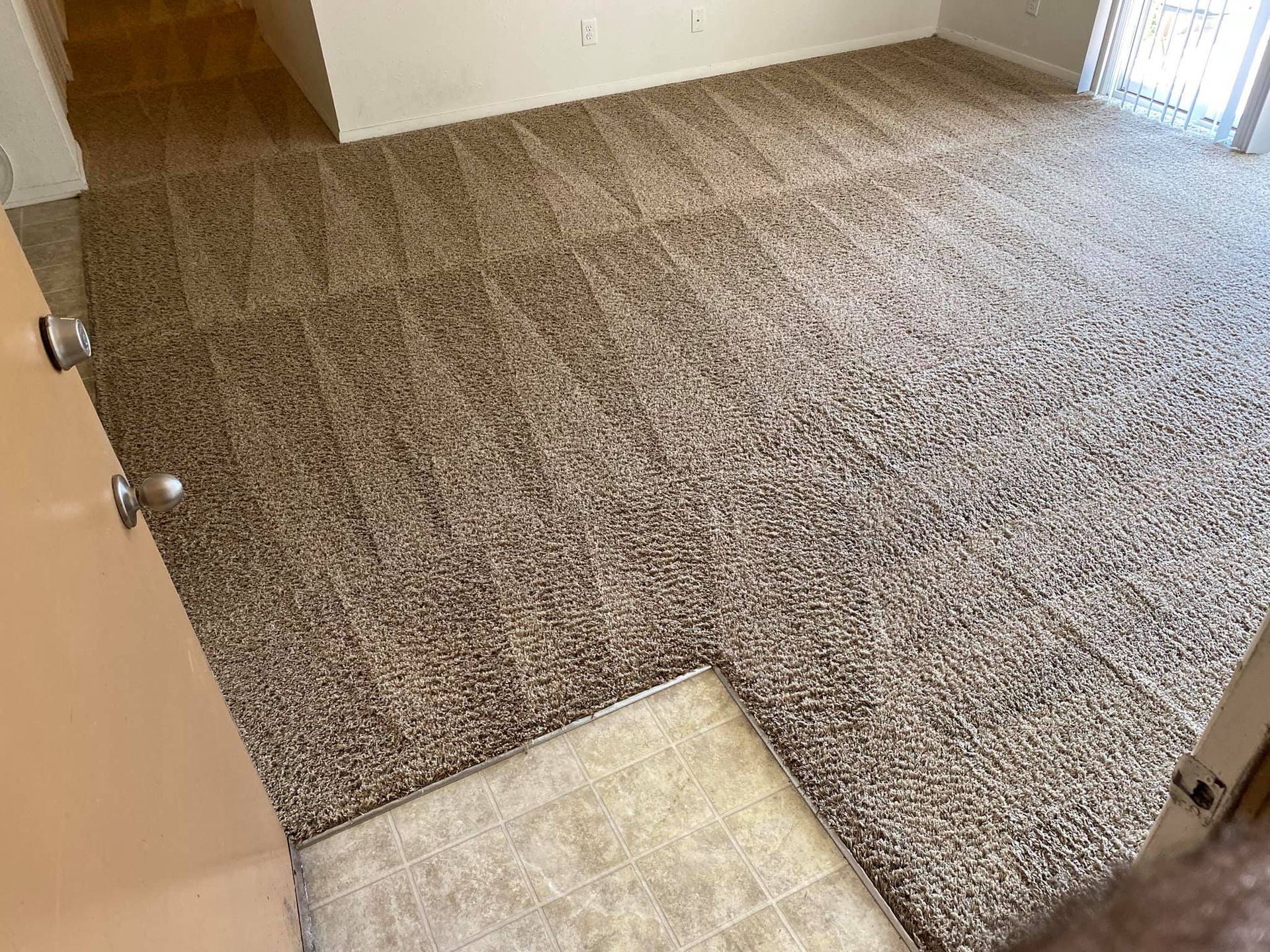 a living room with a carpeted floor and a door .