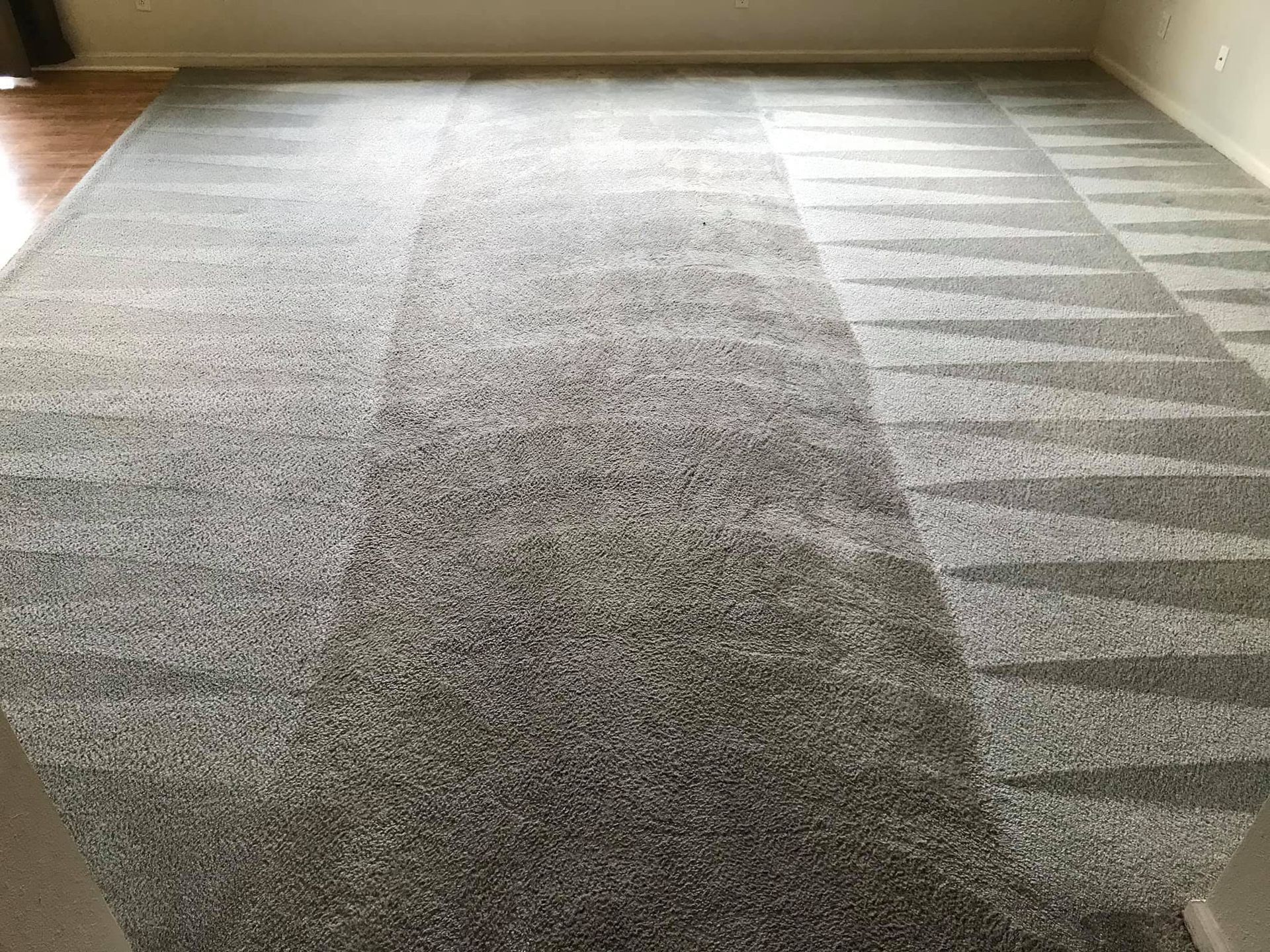 a living room with a gray carpet and a wooden floor .