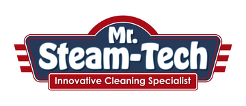 mr. steam tech business logo