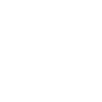 Technology Consulting Services | Liberty Ship Technology