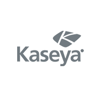 Virtual CIO | Virtual IT Manager  | Kaseya  Liberty Ship Technology