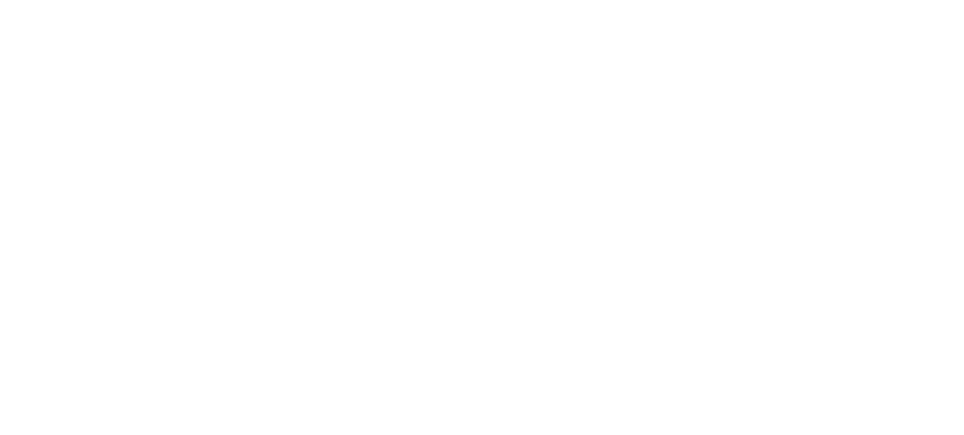 Technology Consultants | Liberty Ship Technology