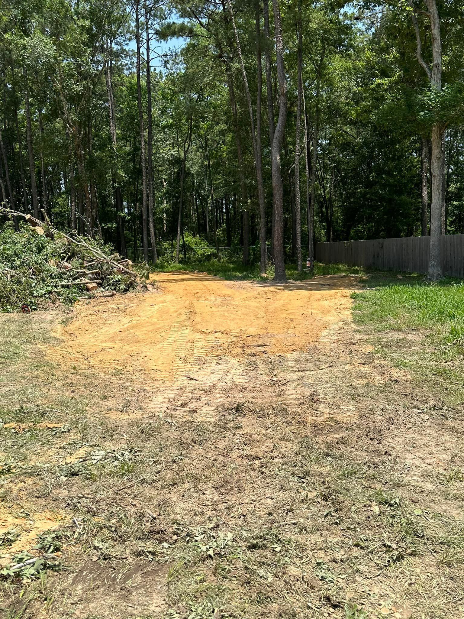 Clearing in wooded area with pile of brush, dirt patch, and grass, under blue sky.