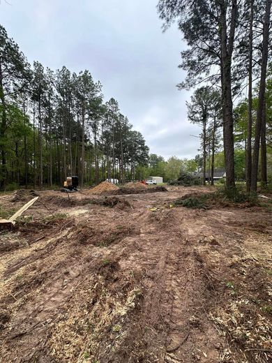 Clearing a wooded lot. Brown soil, wood chips, tall trees, cloudy sky, small excavator.