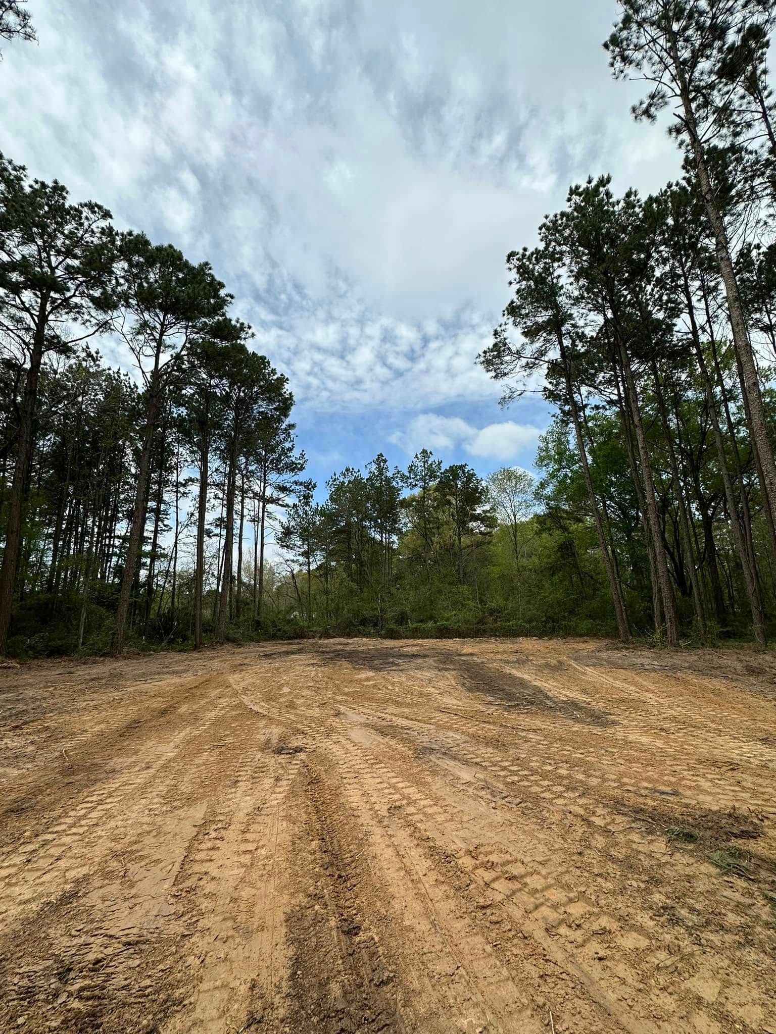 Dirt lot bordered by trees under a cloudy sky.