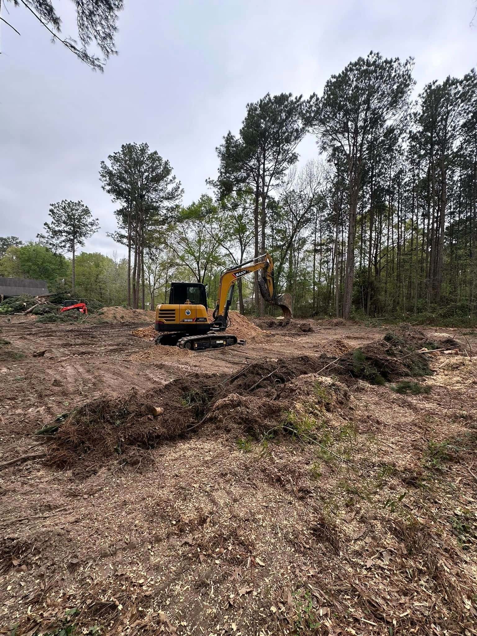 A yellow excavator clears a wooded area, surrounded by wood chips and tall trees under an overcast sky.