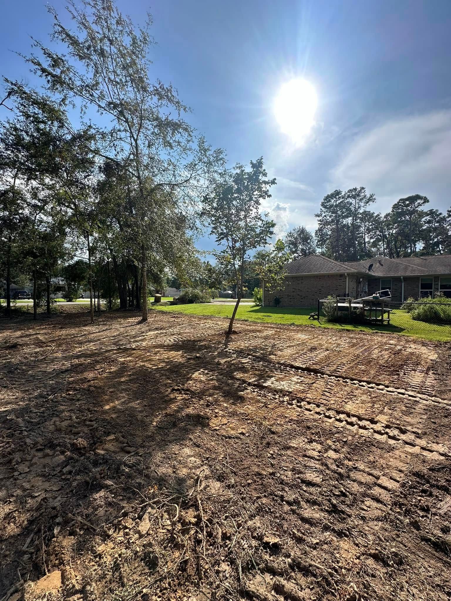 Dirt clearing with trees, bright sun, and a glimpse of a house in the background.